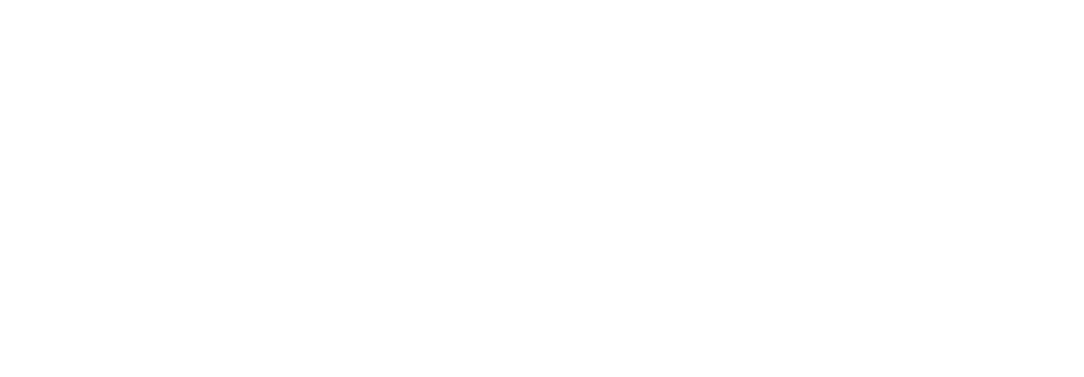 RunBuggyOne