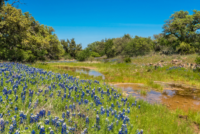 Helotes, TX